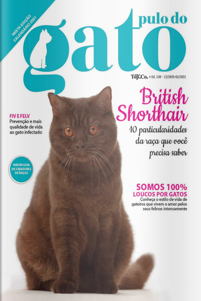 Pulo do Gato - 10 Particularidades da Raça British Shorthair - 01/12/2020