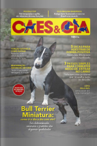 Cães e Cia - BULL TERRIER MINIATURA - 01/04/2021