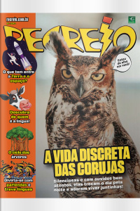 Recreio