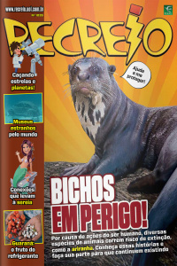 Revista Recreio - Edição 1039