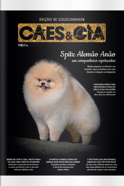 Cães e Cia Ed. 515 - Spitz Alemão Anão: um companheiro espetacular