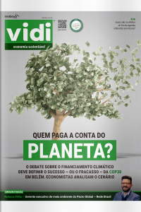 Vidi