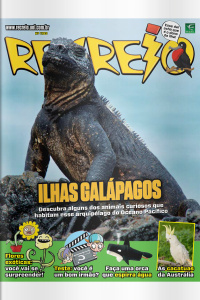 Revista Recreio – Edição 1193