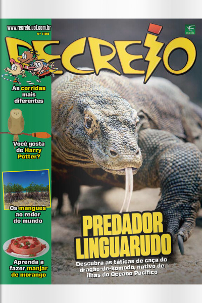 Revista Recreio – Edição 1195
