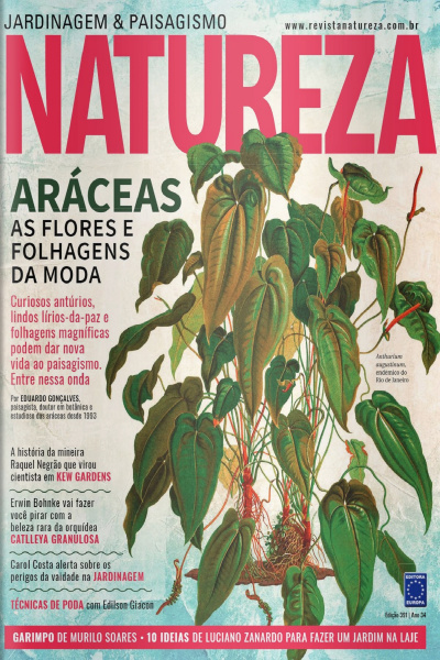 Revista Natureza Jardinagem  Paisagismo N° 391