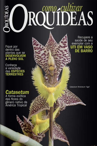 Como Cultivar Orquídeas