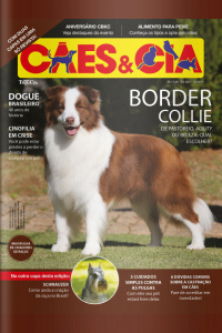 Cães e Cia - Border Collie - 01/10/2019