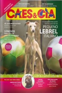 Cães e Cia - 14 cuidados para quem tem ou quer ter um pequeno Lebrel Italiano - 01/12/2019