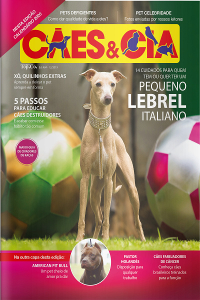 Cães e Cia - 14 cuidados para quem tem ou quer ter um pequeno Lebrel Italiano - 01/12/2019