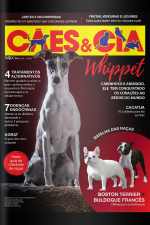 Cães e Cia - Whippet - 01/01/2019