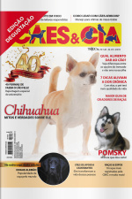Cães e Cia - Chihuahua - 01/06/2019