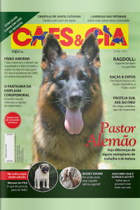 Cães e Cia - Pastor Alemão - 01/07/2019
