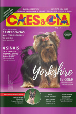 Cães e Cia - YORKSHIRE TERRIER - 01/09/2019