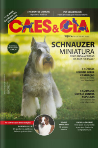 Cães e Cia - Schnauzer Miniatura - 01/10/2019