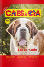 Cães e Cia - 14 cuidados essenciais para quem tem ou quer ter um São Bernardo - 01/12/2020