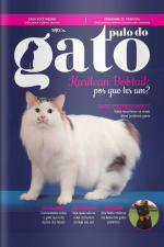 Pulo do Gato - Kurilean Bobtail - 01/03/2021