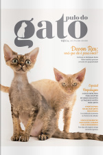 Pulo do Gato