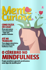 Mente Curiosa - Edição Nº 102