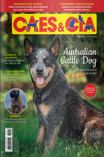 Cães e Cia Ed. 495 - Australian Cattle Dog: manual de como fazê-lo feliz