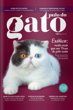 Pulo do Gato Ed. 145 - Exótico: muito mais que um Persa de pelo curto