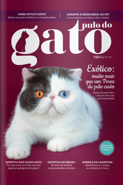 Pulo do Gato Ed. 145 - Exótico: muito mais que um Persa de pelo curto