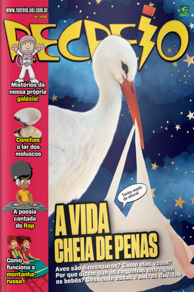 Revista Recreio - Edição 1018