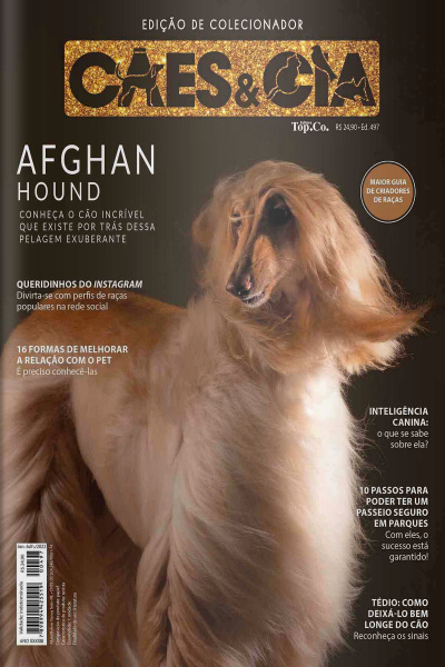 Cães e Cia Ed. 497 - Afghan Hound