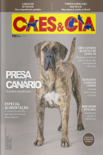 Cães e Cia Ed. 498 - Presa Canário: guardião equilibrado