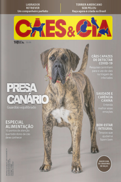Cães e Cia Ed. 498 - Presa Canário: guardião equilibrado