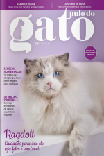 Pulo do Gato Ed. 148 - Ragdoll: cuidados para que ele seja feliz e saudável