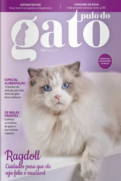 Pulo do Gato Ed. 148 - Ragdoll: cuidados para que ele seja feliz e saudável