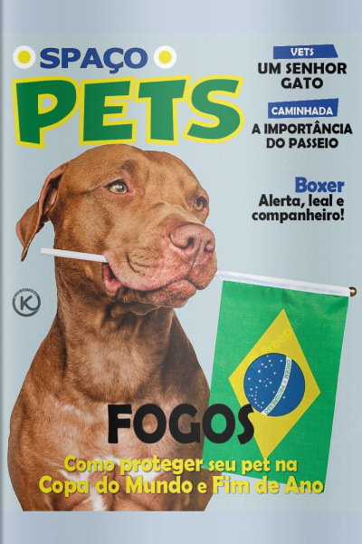 Spaço Pets Ed. 41 - Fogos de artifício na Copa e fim de ano