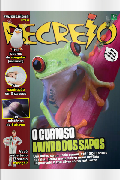 Revista Recreio - Edição 1053