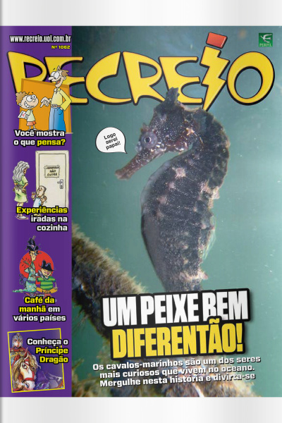Revista Recreio - Edição 1062