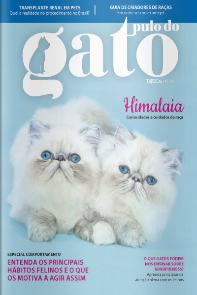 Pulo do Gato Ed. 151 - Himalaia: curiosidades e cuidados da raça