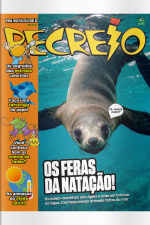 Revista Recreio - Edição 1067