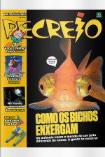 Revista Recreio - Edição 1069