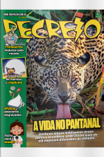 Revista Recreio - Edição 1074