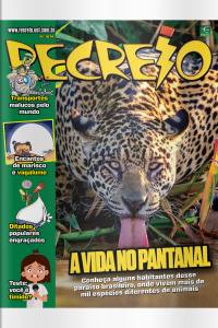 Revista Recreio - Edição 1074