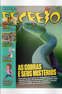 Revista Recreio - Edição 1084