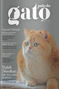 Pulo do Gato Ed. 154 - British Shorthair