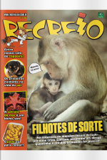 Revista Recreio - Edição 1096