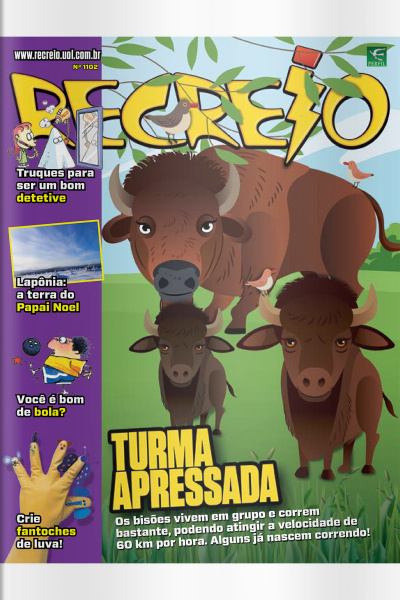 Revista Recreio - Edição 1102
