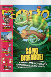 Revista Recreio - Edição 1107