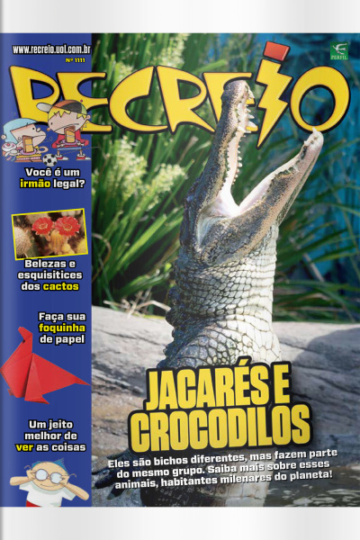 Revista Recreio - Edição 1111