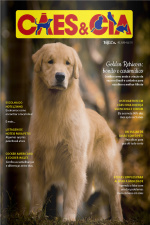 Cães e Cia Ed. 511 - Golden Retriever: bonito e carismático