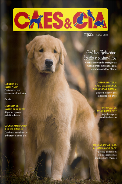 Cães e Cia Ed. 511 - Golden Retriever: bonito e carismático