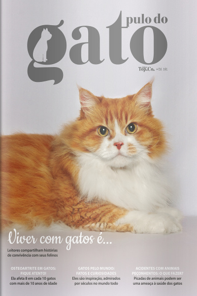 Pulo do Gato Ed. 161 - Viver com gatos é...