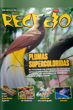 Revista Recreio – Edição 1173