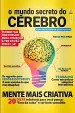 O Mundo Secreto do Cérebro - Ano 2, n° 22